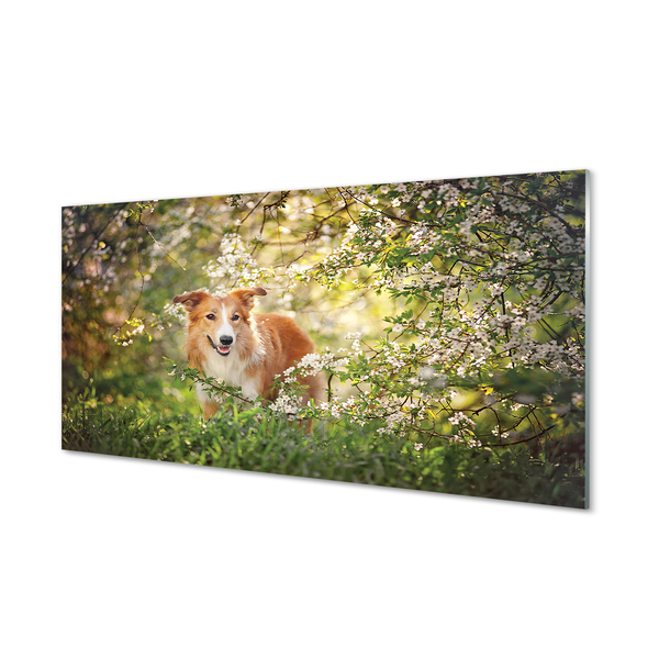 Painel de vidro Flores da floresta para cães