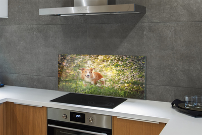 Painel de vidro Flores da floresta para cães