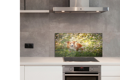 Painel de vidro Flores da floresta para cães