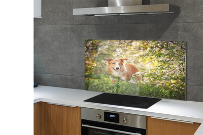 Painel de vidro Flores da floresta para cães