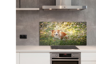 Painel de vidro Flores da floresta para cães