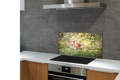 Painel de vidro Flores da floresta para cães