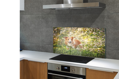 Painel de vidro Flores da floresta para cães