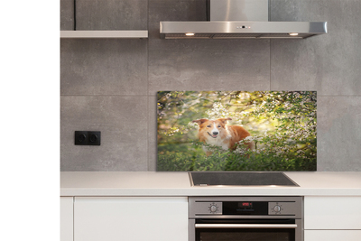 Painel de vidro Flores da floresta para cães