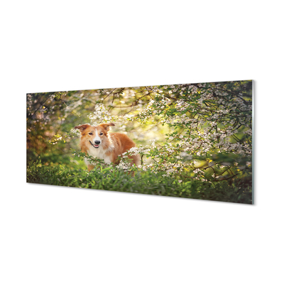 Painel de vidro Flores da floresta para cães