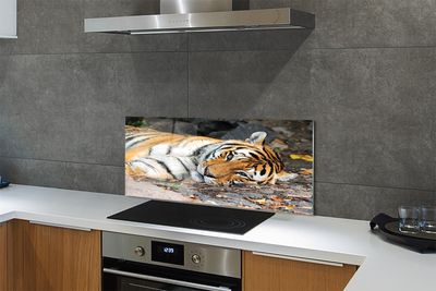 Painel de vidro Tigre mentiroso