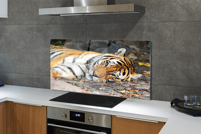 Painel de vidro Tigre mentiroso