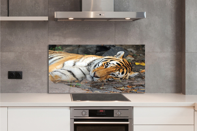 Painel de vidro Tigre mentiroso