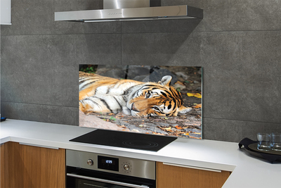 Painel de vidro Tigre mentiroso