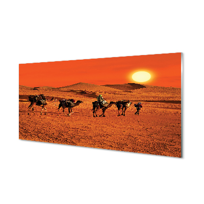 Painel de vidro Camelos, pessoas, deserto, sol, céu