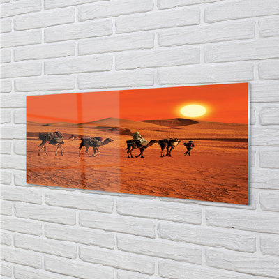 Painel de vidro Camelos, pessoas, deserto, sol, céu