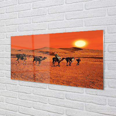 Painel de vidro Camelos, pessoas, deserto, sol, céu