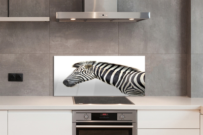 Painel de vidro Costelas