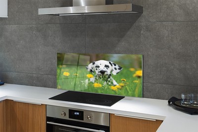 Painel de vidro Cão do prado