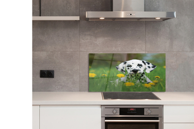 Painel de vidro Cão do prado