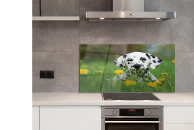 Painel de vidro Cão do prado