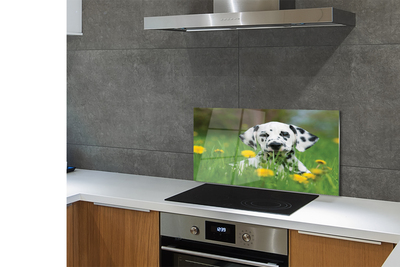 Painel de vidro Cão do prado