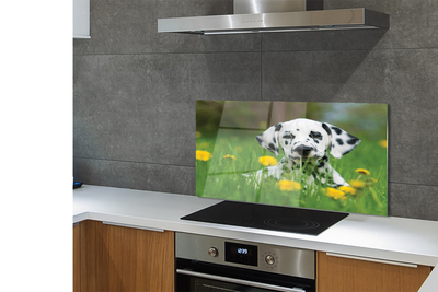 Painel de vidro Cão do prado