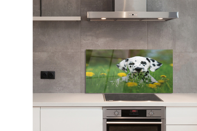 Painel de vidro Cão do prado