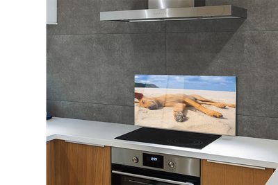 Painel de vidro Praia do cão deitado