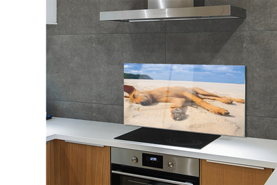 Painel de vidro Praia do cão deitado