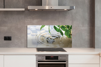 Painel de vidro Respingo de gota d'água