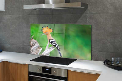 Painel de vidro Árvore papagaio colorida