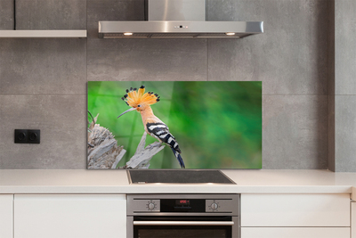 Painel de vidro Árvore papagaio colorida