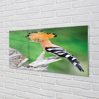 Painel de vidro Árvore papagaio colorida