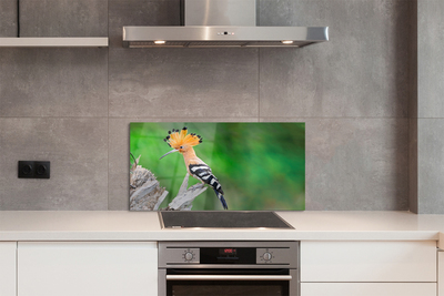 Painel de vidro Árvore papagaio colorida