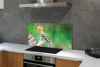 Painel de vidro Árvore papagaio colorida