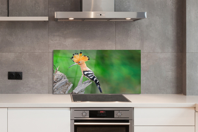 Painel de vidro Árvore papagaio colorida