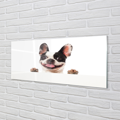 Painel de vidro Cachorro