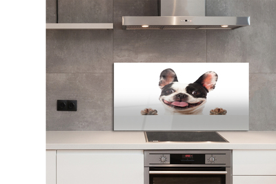 Painel de vidro Cachorro