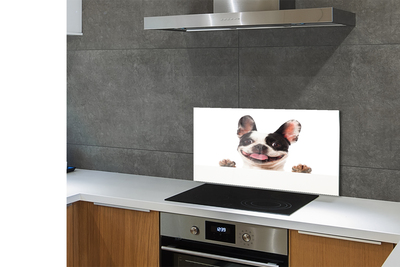 Painel de vidro Cachorro