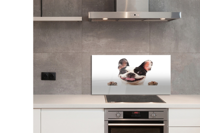Painel de vidro Cachorro