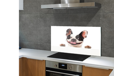 Painel de vidro Cachorro