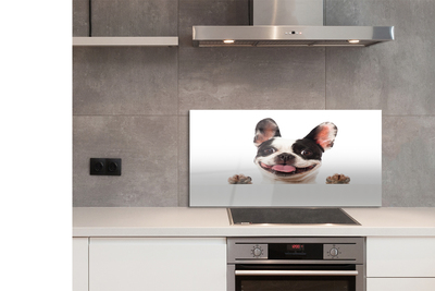 Painel de vidro Cachorro