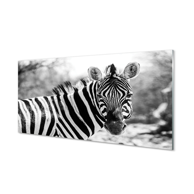 Painel de vidro Zebra retrô