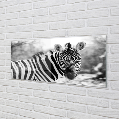 Painel de vidro Zebra retrô