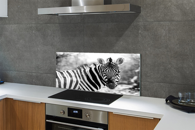 Painel de vidro Zebra retrô