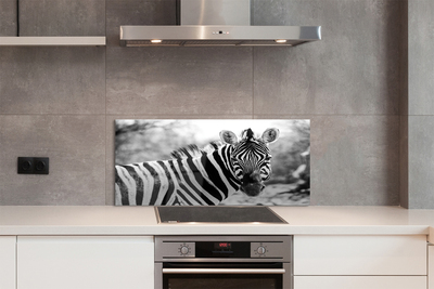 Painel de vidro Zebra retrô