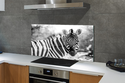 Painel de vidro Zebra retrô