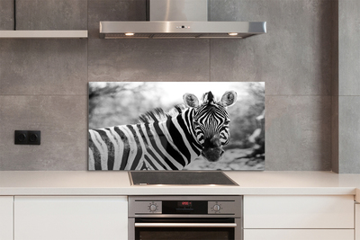 Painel de vidro Zebra retrô