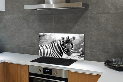 Painel de vidro Zebra retrô