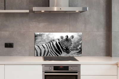 Painel de vidro Zebra retrô