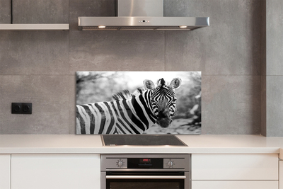 Painel de vidro Zebra retrô