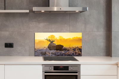 Painel de vidro Nascer do sol de inverno com veados