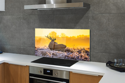 Painel de vidro Nascer do sol de inverno com veados