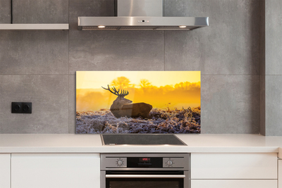 Painel de vidro Nascer do sol de inverno com veados